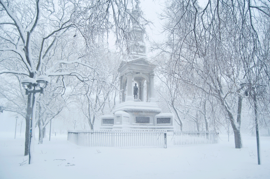 Time lapse of seasonal change in Cambridge, Massachusetts
